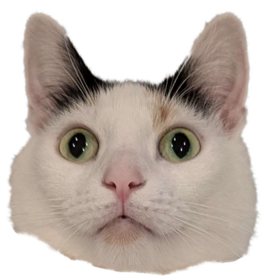 GaticaEmoji.png
